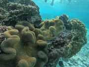 家族初シュノーケリング