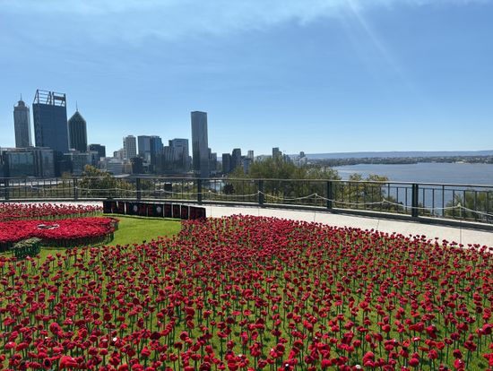 キングスパーク