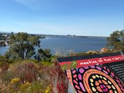 キングスパーク