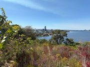 パース市街地を望む