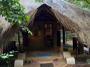 希望したアーユルヴェーダ