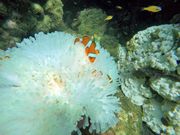 海の中も撮影してくれてた！