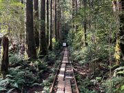 前半のトロッコ道