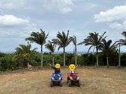 西表島バギー体験