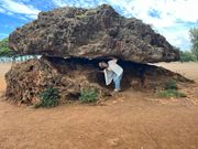 ミニツアーでポハク・ラナイ