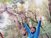 縄文杉前で歓喜