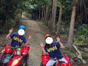 西表島のバギー体験