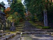 平泉寺の紅葉