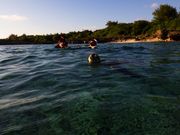 ウミガメの息つぎ