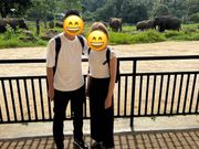 象の孤児院にて