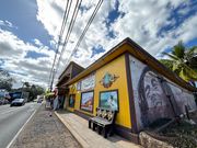 サーフィンシー