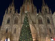 バルセロナ大聖堂