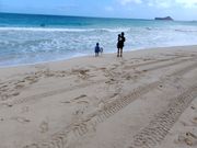 ワイマナロビーチで海に入りたい子を引き止めて！