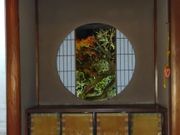 雲龍寺　悟りの窓