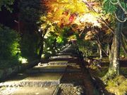 ねねの道　圓徳院から高台寺へ