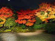 圓徳院　賢庭の作、小堀遠州が手を加えた庭