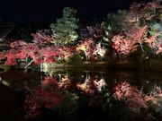 水面に映る紅葉も綺麗でした