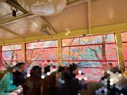 トロッコ列車からの景色🚃