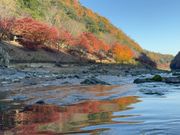 保津川下りからみた紅葉🚤