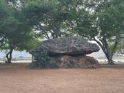 ツアー最中の一枚