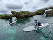 たくさんの魚が見えてます