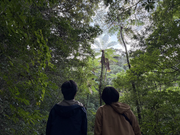 恐竜時代に思いを馳せる