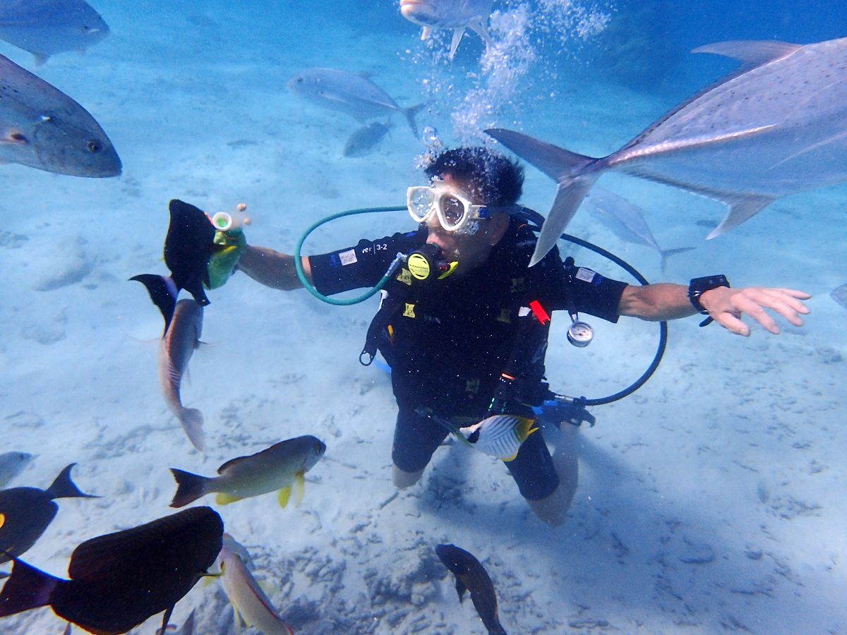 参加者のレビュー一覧) ファンダイビング (スキューバ ダイビング