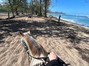 海辺を散歩しました