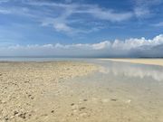 絵に描いたような景色