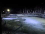 凍っていました