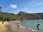 10時頃になると人手もまあまあ。