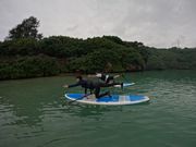 ヨガっぽいこともできて自由！