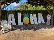 ドールプランテーション