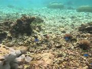 ポイントを変えてお魚に餌付けと観察