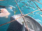 本当にこの距離！ズームとかしてない。