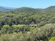 タイミング良くスカイレールからキュランダ鉄道を発見！！