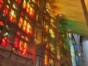 光によって色を変える美しいグラデーションが見られます