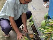 フルーツ農園での体験、めちゃくちゃ美味しいフルーツがこれでもか！の量