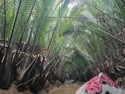 ツアーの随所に盛り込まれてるアドベンチャー感