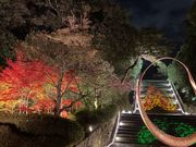 知恩院プロジェクションマッピング