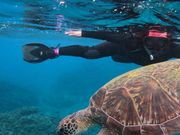 🐢さんと一緒に