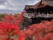 清水寺の舞台