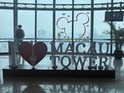 エレベーター登ると