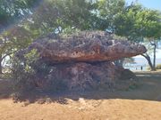 バランスロック