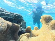 キレイな海で最高