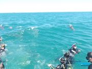 体験時にスタッフの方が撮ってくれた写真です