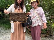 はちみつの巣箱