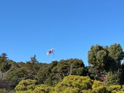 日本で２番目に大きい日の丸🇯🇵