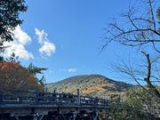 嵐山じゃないよ！