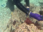 このように写真を撮ってくださいます